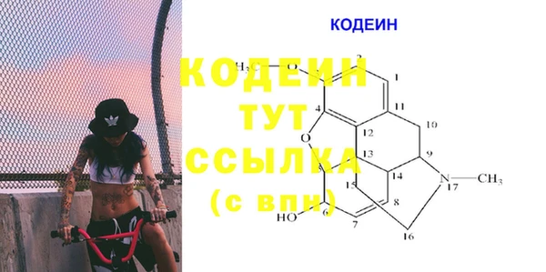 индика Арсеньев