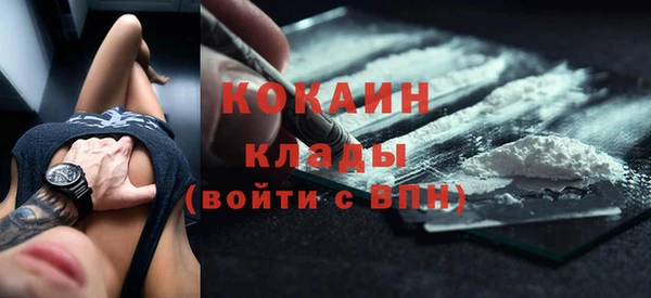 индика Арсеньев