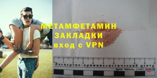 индика Арсеньев
