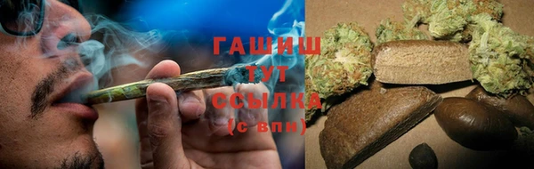 индика Арсеньев