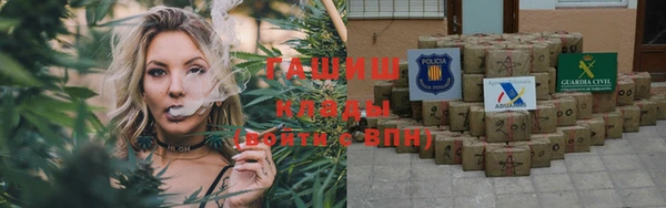 индика Арсеньев