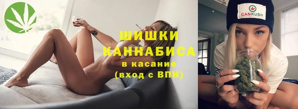 индика Арсеньев