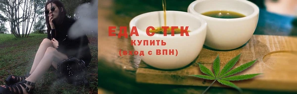индика Арсеньев