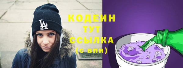 индика Арсеньев