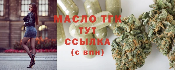 индика Арсеньев