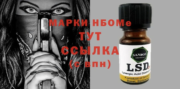 индика Арсеньев