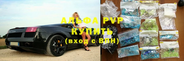 индика Арсеньев