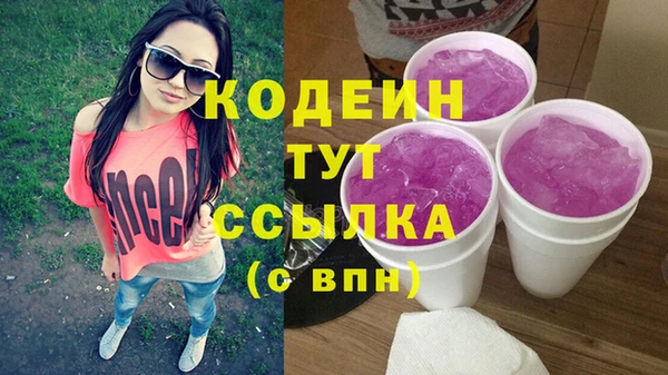 индика Арсеньев