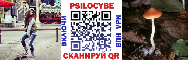 Галлюциногенные грибы MAGIC MUSHROOMS Рыбное